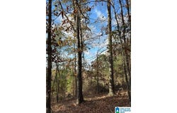 113 CREST DRIVE, CHELSEA, AL 35043