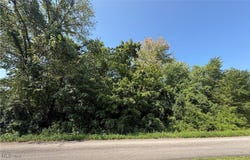 Connie Street, Steubenville, OH 43952