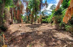 805 Norris, St. Marys, GA 31558