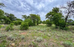 Shoreline Drive lot: 83, Cisco, TX 76437