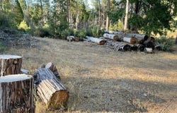 18371 Pine Tree Way, Mountain Ranch, CA 95246