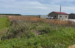 111 Fred Bear Way, Newellton, LA 71357
