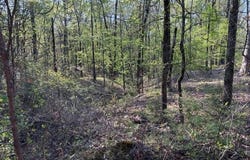 0 Grant County Rd 291020, Prattsville, AR 72129