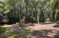 64.5 Acres Hwy 43 N, Poplarville, MS 39470