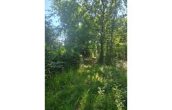 771 E Chism, Paris, AR 72855