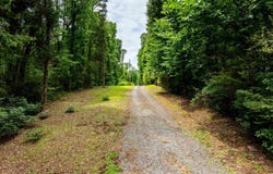 Highway 65, Choctaw, AR 72031