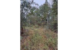 Hwy 26 E, Poplarville, MS 39470