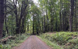 141 Tara Lane, Franklin, NY 13775
