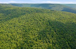 252 Acres County Road 106, Paint Rock, AL 35764