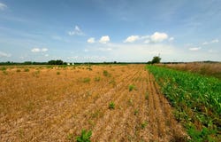 14839 Westfall Road Lot 2, Chillicothe, OH 45601