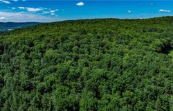 Lower Ravine Road, Norwich, NY 13815
