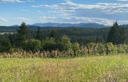 44xx Whittier Rd, Clayton, WA 99110
