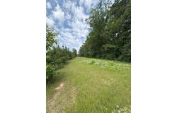 Tbd County Road 425, Tenaha, TX 75974
