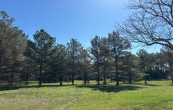 County Road 256, Houston, MS 38851