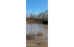 00 Fry Road, Lavinia, TN 38348