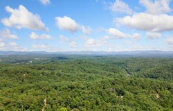 173 Birchwood Drive, Ellijay, GA 30540