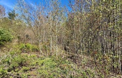 299 & 331 Page Street, Lake Pleasant, NY 12108