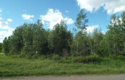 .80 acre HWY 32, Argonne, WI 54511