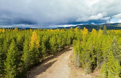 Nhn Lower Lost Prairie Road, Marion, MT 59925