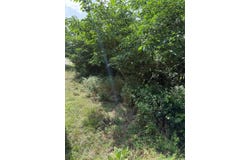1005 Henderson ST, Cameron, TX 76520