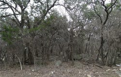 000 Magnolia LN, Cottonwood Shores, TX 78657