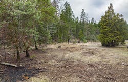 7887 Upper Deer Creek Road, Selma, OR 97538