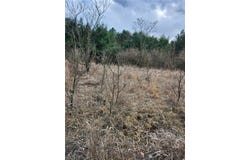 31 Acres Along Saint Lawrence Rd, PA 16627