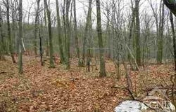 620 Bean River Road, Pine Plains, NY 12567