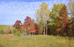 Grant Street, Park Rapids, MN 56470