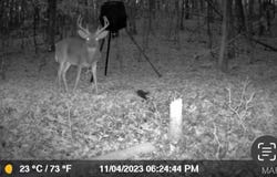 0 Hwy 60, Van Buren, MO 63965