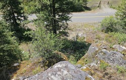 279X DEEP LAKE BOUNDARY RD, NORTHPORT, WA 99157