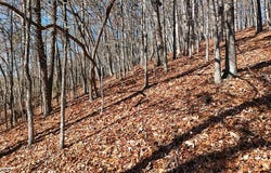 Nebo Mountain Rd. lot: Multiple, Atkins, VA 24311