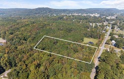 SPRINGVILLE BOULEVARD lot: 0, ONEONTA, AL 35121