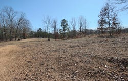 County Road 263, Iuka, MS 38852