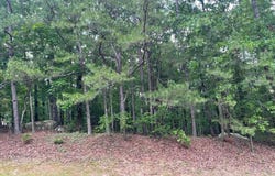Lot 5,6,7,Blk19 Woodlawn Dr Drive, Fairfield Bay, AR 72088