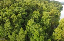 Lot 13 Woodland Creek Drive, Dandridge, TN 37725