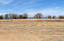 15287 Ypsilon Cir, Mead, CO 80542