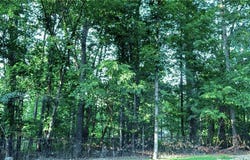 Lot 4 Leafield  LN, Bella Vista, AR 72714