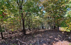 Tbd Stien Road, Climax Springs, MO 65324