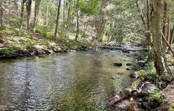 Lehigh River Ct, Gouldsboro, PA 18424