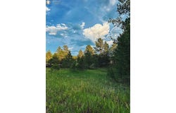 34 Quartz Circle, Florissant, CO 80816