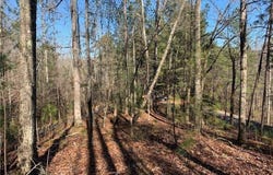 824 Monody, Ranger, GA 30734