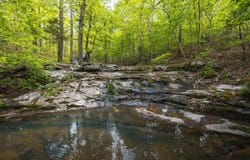 20623 W Ashley Creek Rd, Raymondville, MO 65555