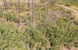 Douglas Lane lot: 1596, Fort Garland, CO 81133