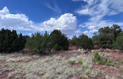 000 Antelope Road, Show Low, AZ 85901