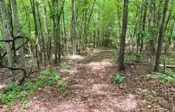 Tbd Pepper Town Rd, Eupora, MS 39744