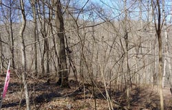 0 Birch Hollow Road, Stanton, KY 40380