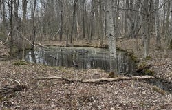 00 W Deborah Ann Trail, Empire, MI 49630