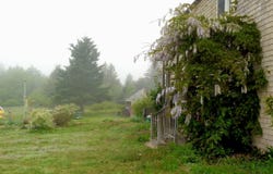 163 Middle Road, North Haven, ME 04853