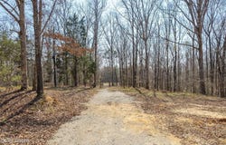 320 Peddy Vestal Loop, Henderson, TN 38340